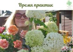 ВРЕМЯ ПРАКТИК | 26 АПРЕЛЯ