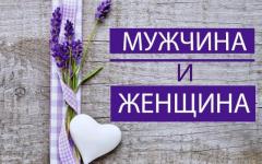 ЦИКЛ ЗАНЯТИЙ ПО ТЕМЕ "МУЖЧИНА И ЖЕНЩИНА"