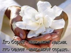 СЕАНС ПРАНОТЕРАПИИ ИЛИ РЕЙКИ